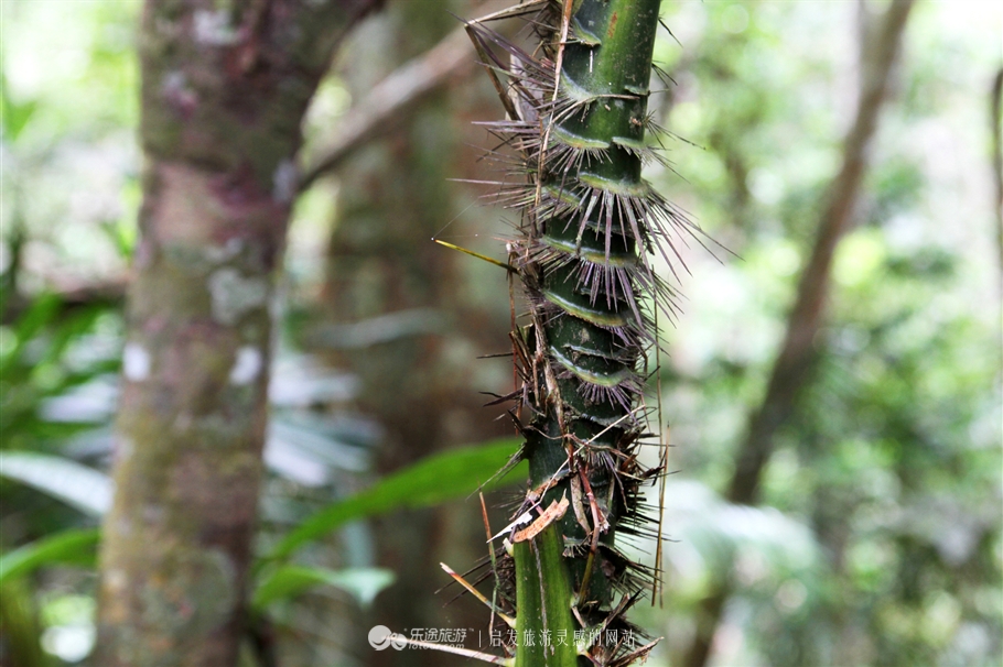 放学别走！雪兰莪喊你去补生物课！