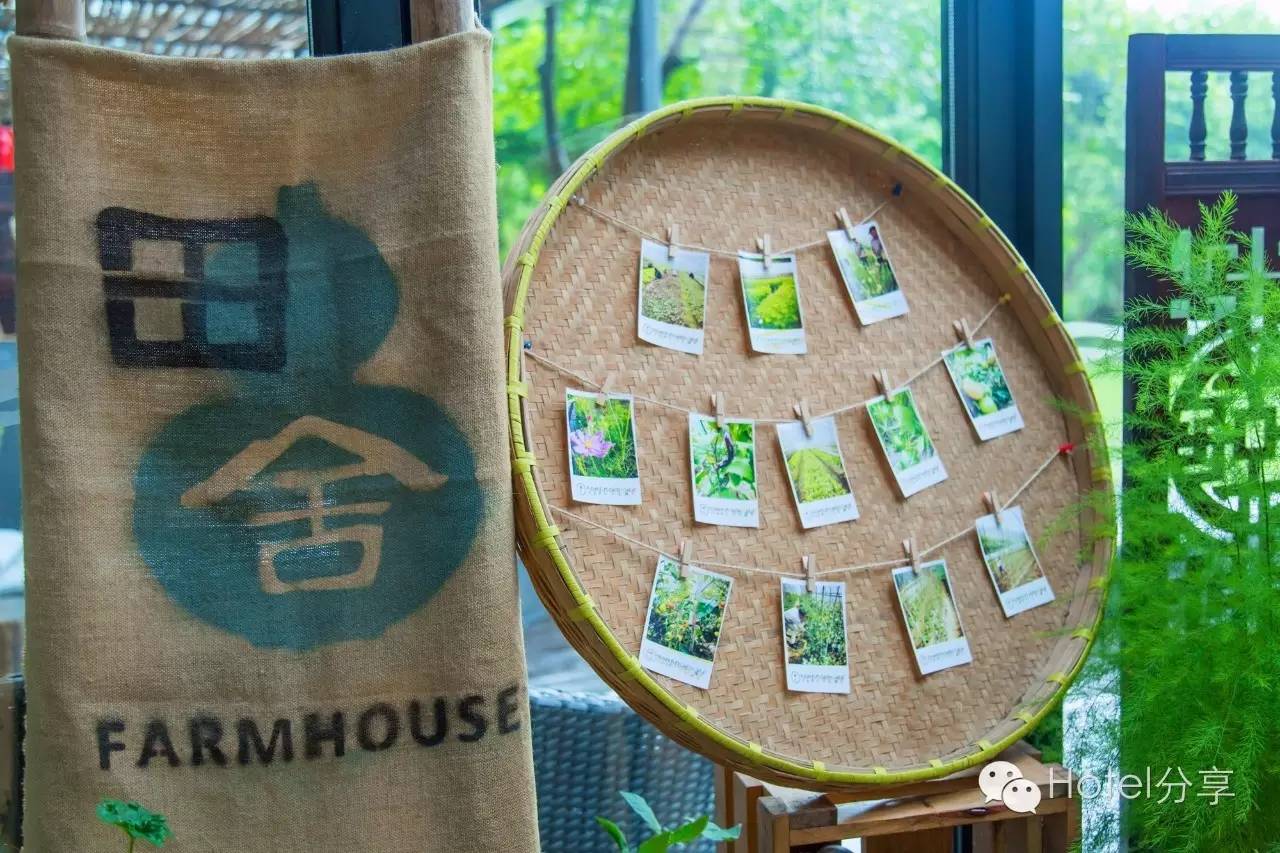 莫干山裸心谷的风景怎么样,莫干山裸心谷值得去吗