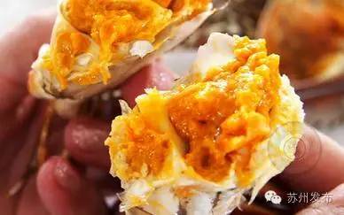 六月黄，令苏州人“魂牵梦萦”的那一口鲜嫩浓香的黄金膏油~来了！