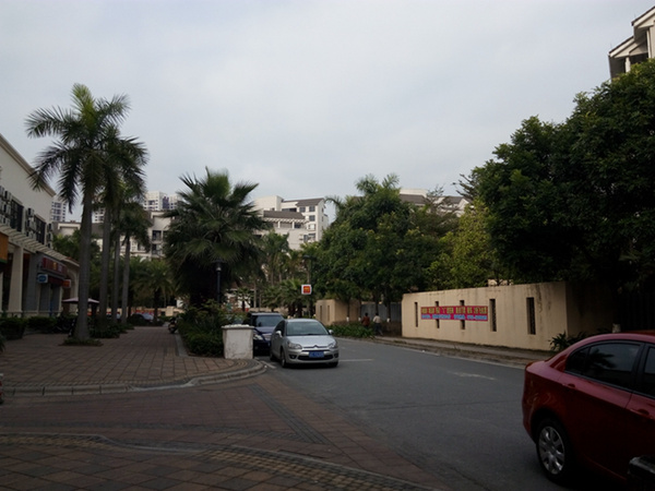 中兴bladea1手机,中兴手机bladea2怎么样