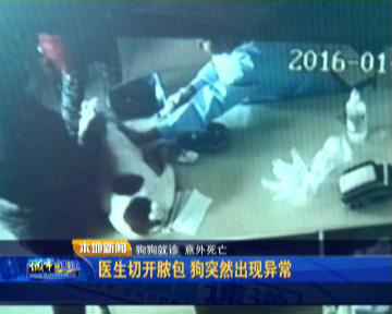 狗子脖子长了包有脓,狗脖子下面长疮怎么办