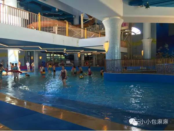 广州长隆动物园一日游攻略,长隆动物园和海洋公园哪个值得去