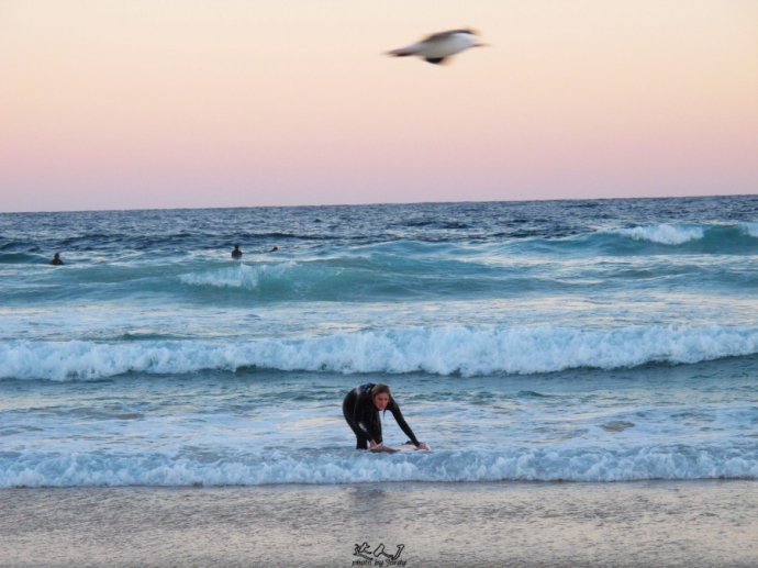 悉尼炎热,悉尼潮湿还是干燥