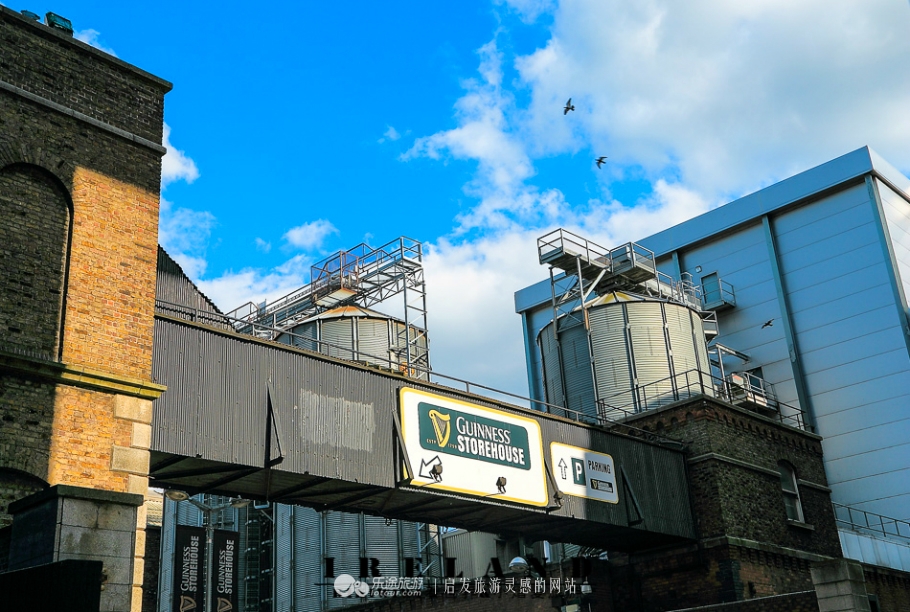 健力士和吉尼斯纪录,健力士吉尼斯黑啤