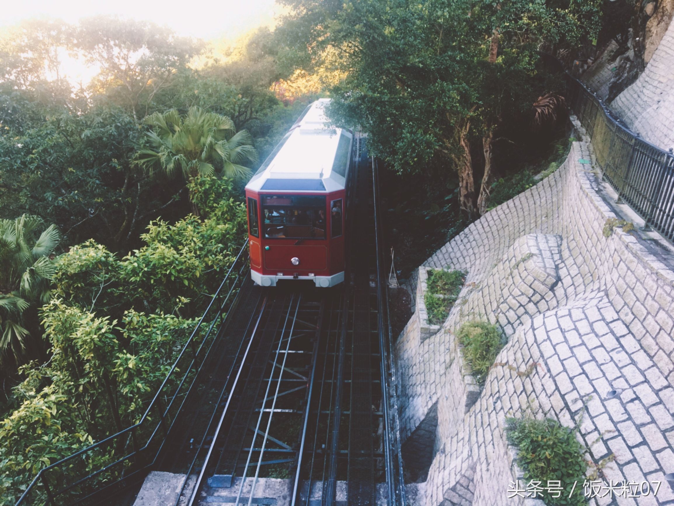 窥见英文,窥见上海商业