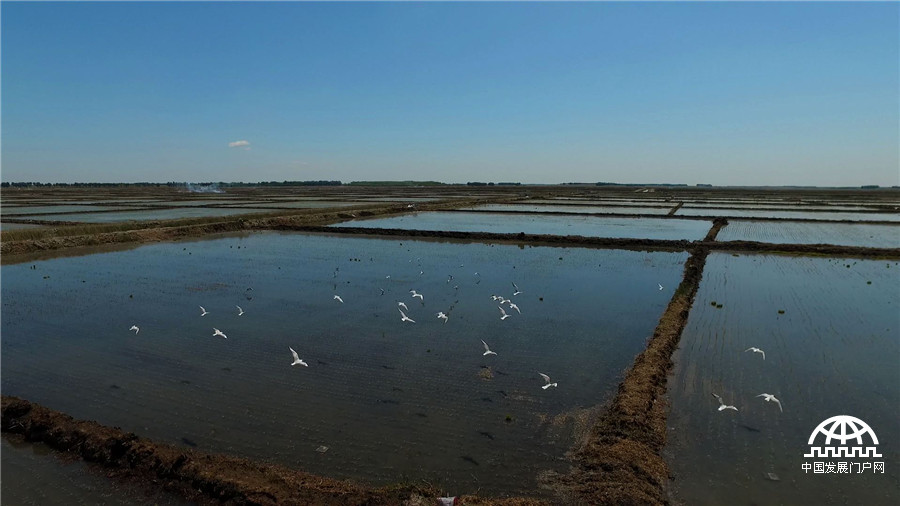 致富经养鱼一年多卖1000万,致富经一亩地赚过亿
