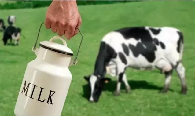 德国本地最畅销奶粉,德国销量第一的奶粉