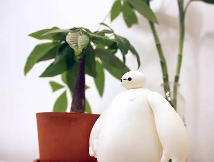 晒家两人两喵孙先生家，96平，混搭复式....