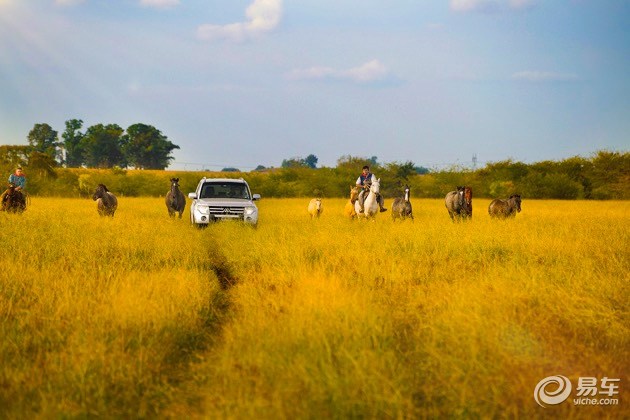 企鹅也爱吃牛肉？三菱帕杰罗阿根廷历险记