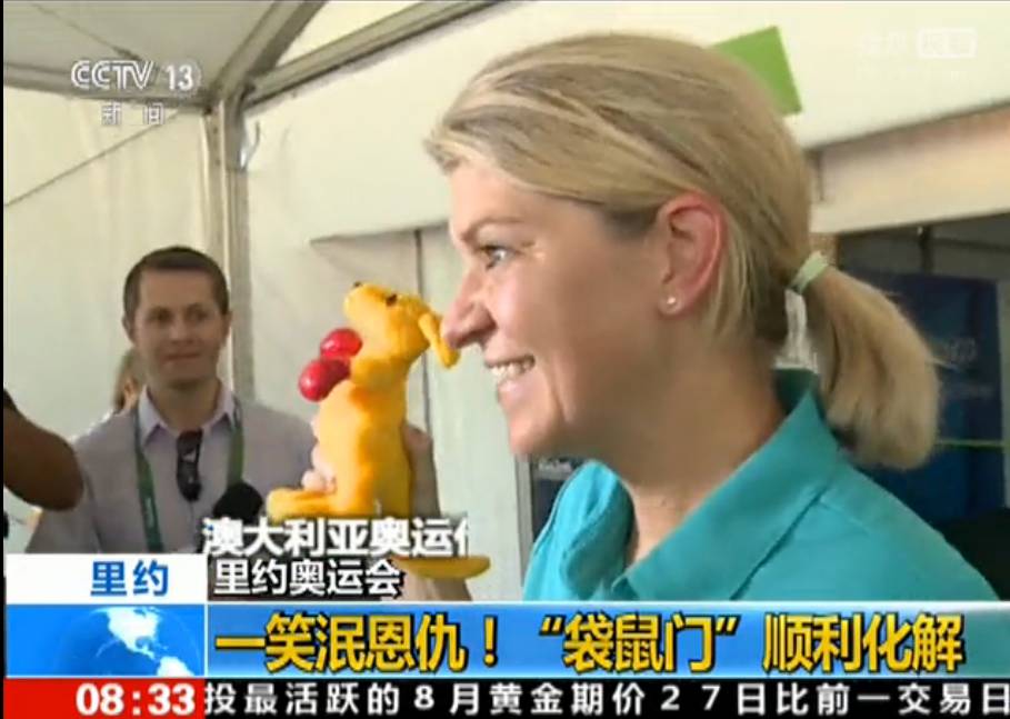 本届巴西奥组委:谁能帮我海淘只熊猫?