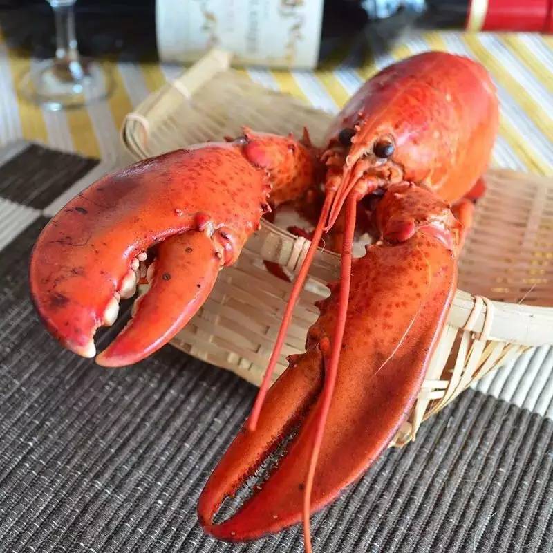 *情催**魔鬼七夕礼盒!法国海归米其林大厨撸袖手作