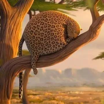 英语怎么表达我有点胖,胖用英语怎么形容比较优雅