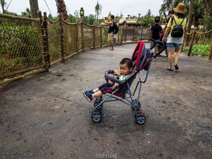 上海迪士尼两日游攻略及费用,上海迪士尼一日游预约攻略