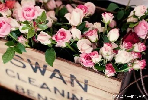 随遇而安淡然生活的句子,随心随性随喜随缘随遇而安的意思