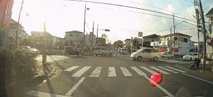 俄罗斯豹纹猫,尾气猫