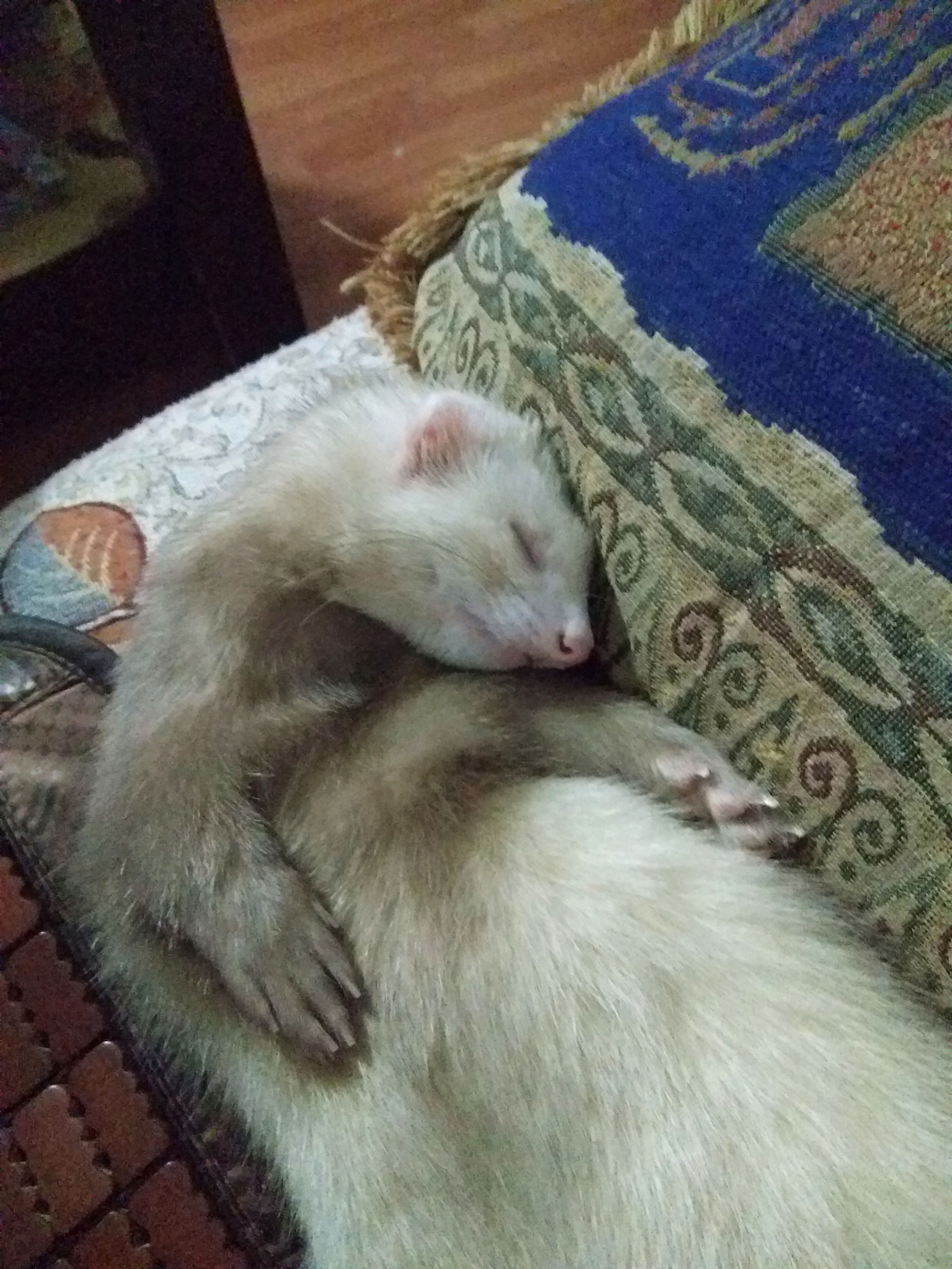 zukz2全网通4g手机,zukz2玩吃鸡