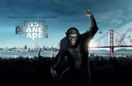 央行如何看待马云支付宝,央行对支付宝的看法