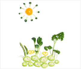 夏日排卵规律呵护心身祝好运