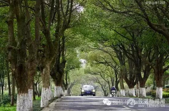 兰溪文旅风景区在哪里,兰溪全域旅游