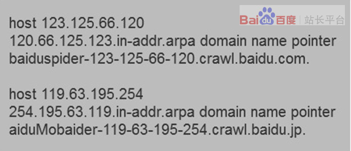 seo入门教程百度排名,seo优化之百度蜘蛛爬行规律