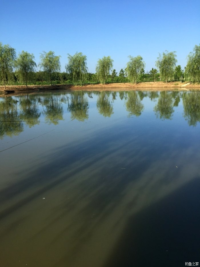 鳜鱼活性低用哪种拟饵,路亚鳜鱼拟饵