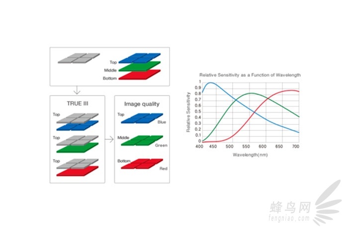 适马sdquattroh值不值得入手,适马sdquattroh配镜头
