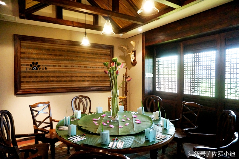 一晴方觉夏深，赴一场蘑菇的饕餮盛宴