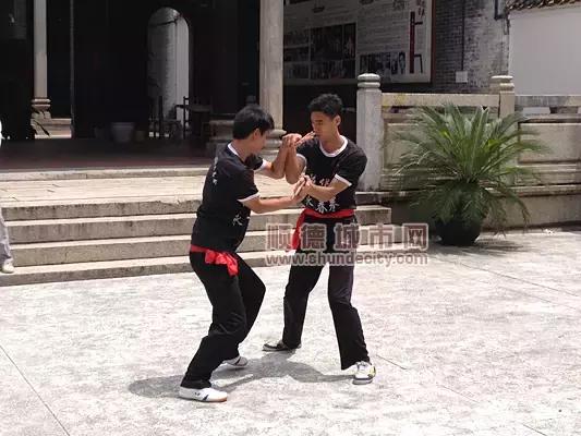 佛山顺德杏坛古村,顺德千年古村落