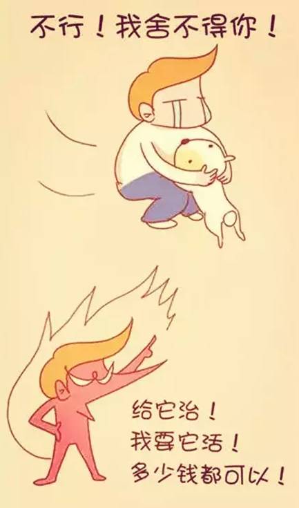 陪伴是最长情的告白你同意吗,陪伴是最长情的告白请勿连赞