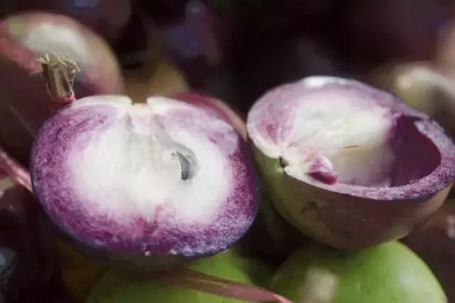 牛奶果不结果怎么回事,牛奶起奶皮子怎么回事