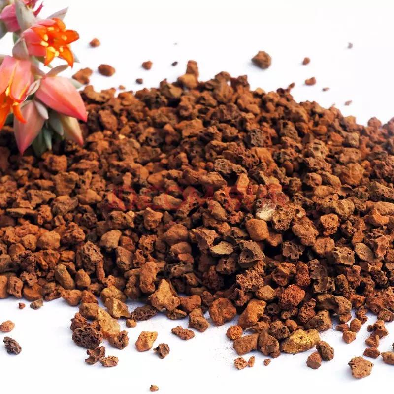 多肉用白石子铺面好吗,养多肉用什么铺面石好