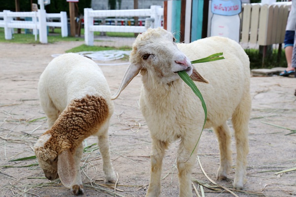豆瓣日记书,豆瓣日记南方北方