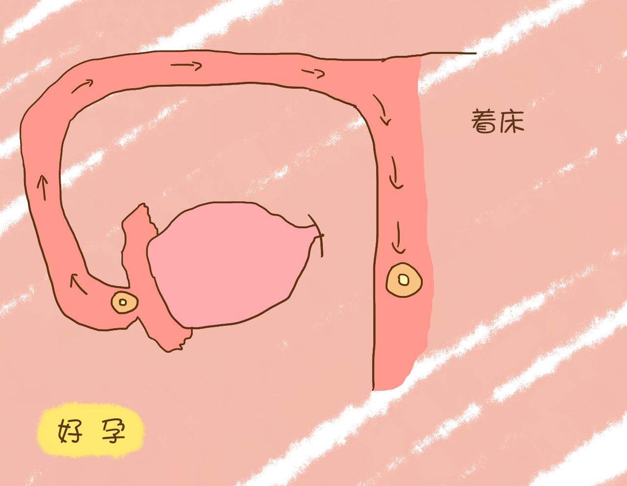 同房后多久才能确认怀孕？这才是最佳确认时间点