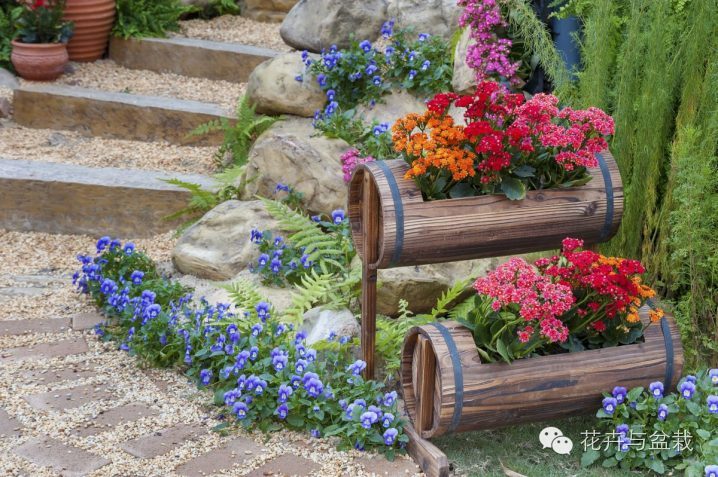 走到哪都是风景视频,走到哪里都是美景