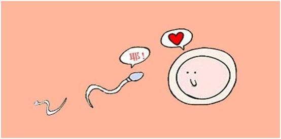 我和老公是月光族，二胎B超显示是男宝，该不该生？