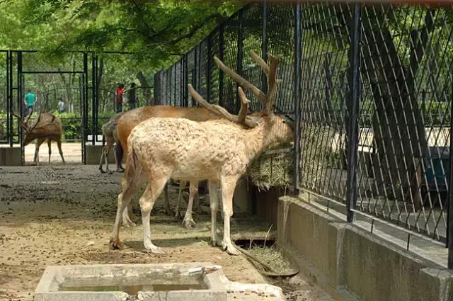 国内最良心的十个不收门票的景区,中国不收门票的十大良心景区