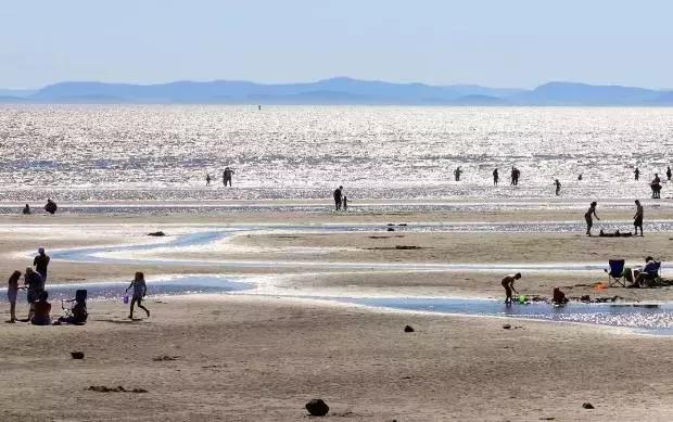 七分醉，九份迷！初秋的温哥华美的太任性，随手拍来皆美景