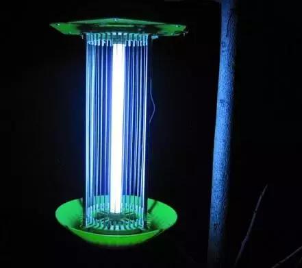 怎么样蚊子才能死,怎样才能干死蚊子