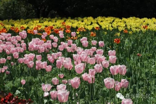 宁波出发高铁4-5小时能到哪里,宁波出发坐高铁三日游推荐