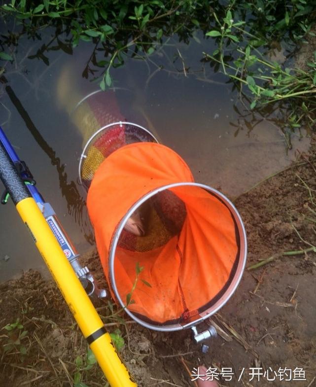 老鬼鱼饵料钓鳊鱼,老鬼专钓鳊鱼饵料配方