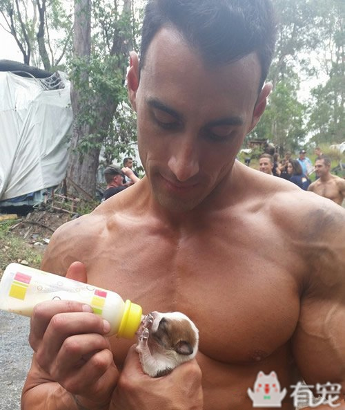 搜救犬看见消防员抱着小奶狗 (消防员训练发现小奶狗)