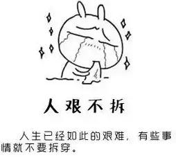 还在拿到罚单就直奔交警队？NO！听东莞交警蜀黍这样说