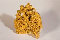 中国地质博物馆百年，这30件藏品亮瞎你的双眼