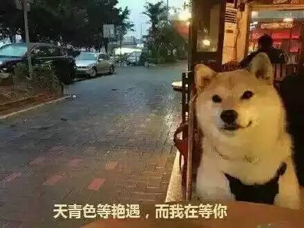 额头上疯狂冒痘是怎么回事,额头狂冒痘