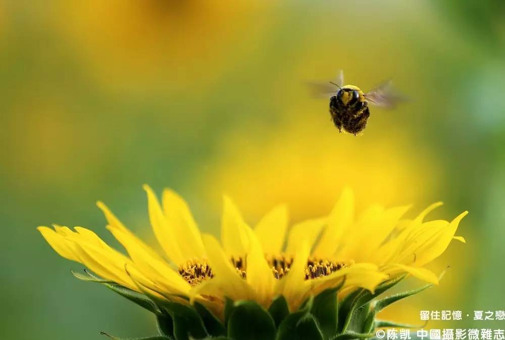 夏之恋完整版,夏之恋完整版免费阅读