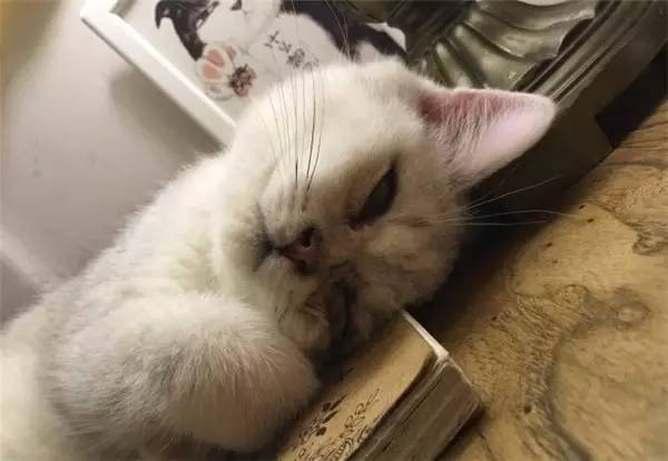 西安钟楼附近高档餐厅,西安必去的高消费餐厅