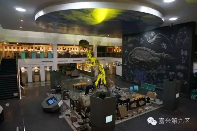 宁波出发高铁4-5小时能到哪里,宁波出发坐高铁三日游推荐