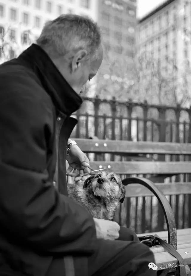 35mm镜头怎么选,摄影师为什么都喜欢35mm镜头