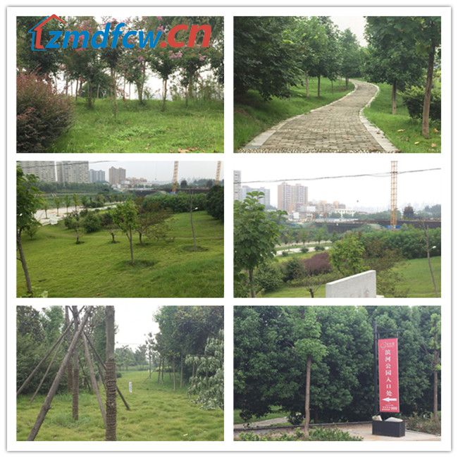 小丫看房记尚城银座完整版,小丫看房