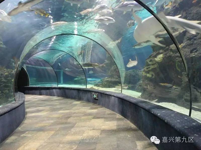 宁波出发高铁4-5小时能到哪里,宁波出发坐高铁三日游推荐